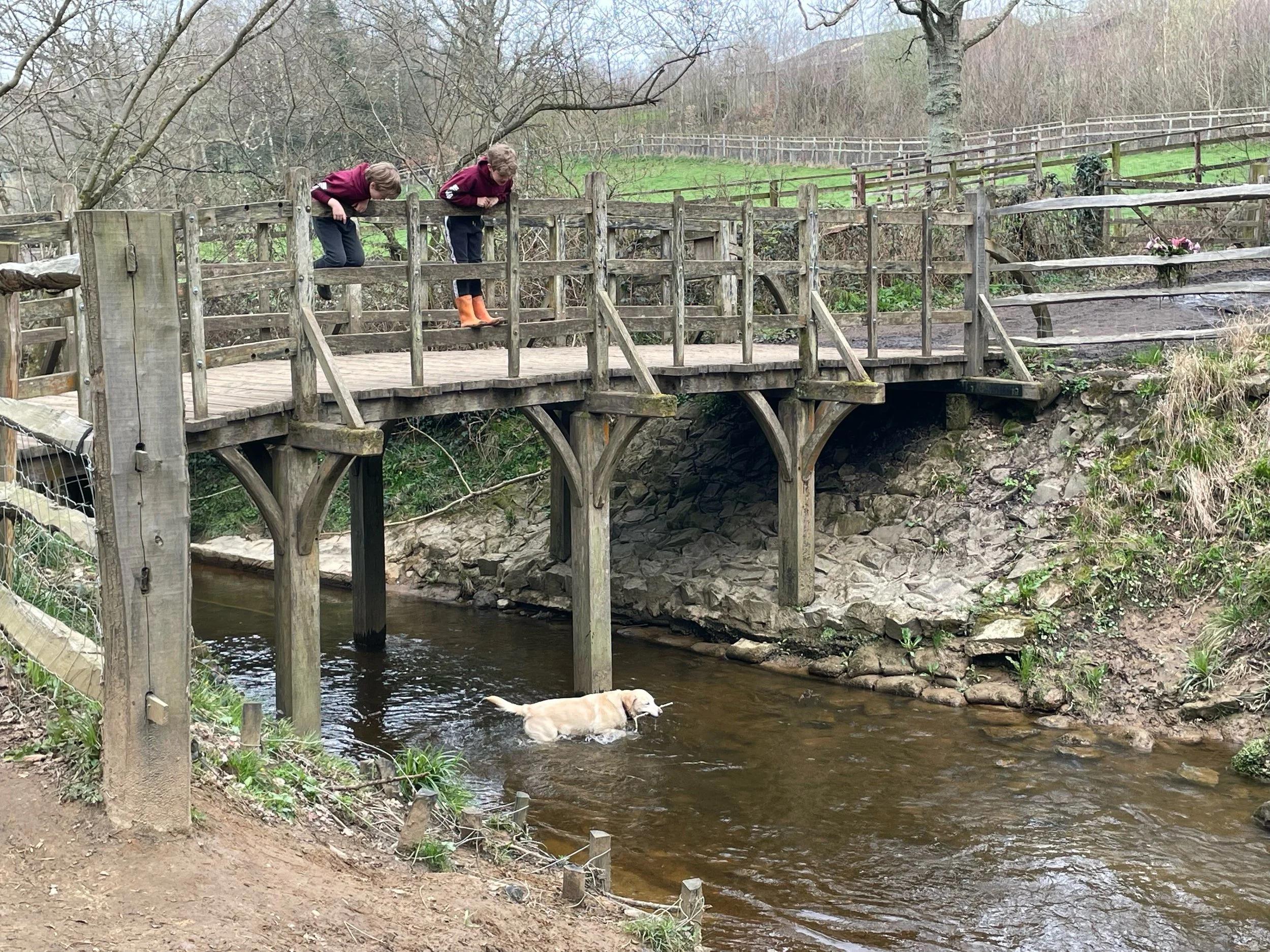 The Hideout Cottage, Ashdown Forest