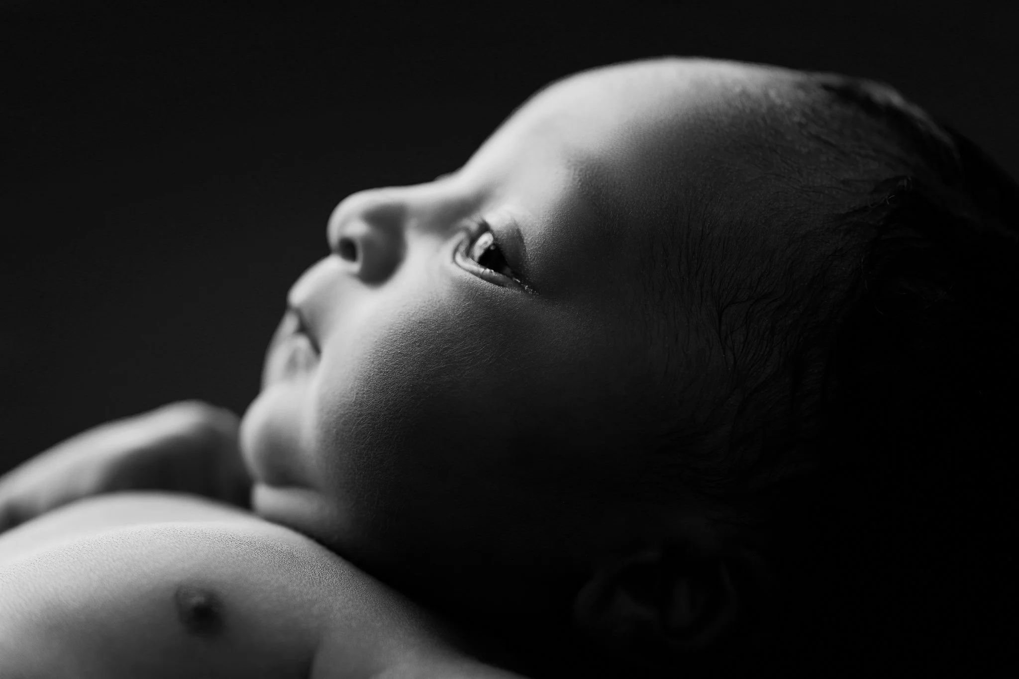 Atlanta Georgia Studio Newborn Photographer