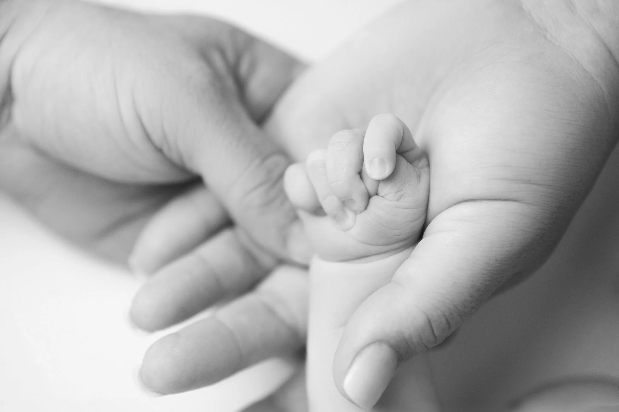 JOP.Waverlee.NB-51-Edit WEB-2.jpg