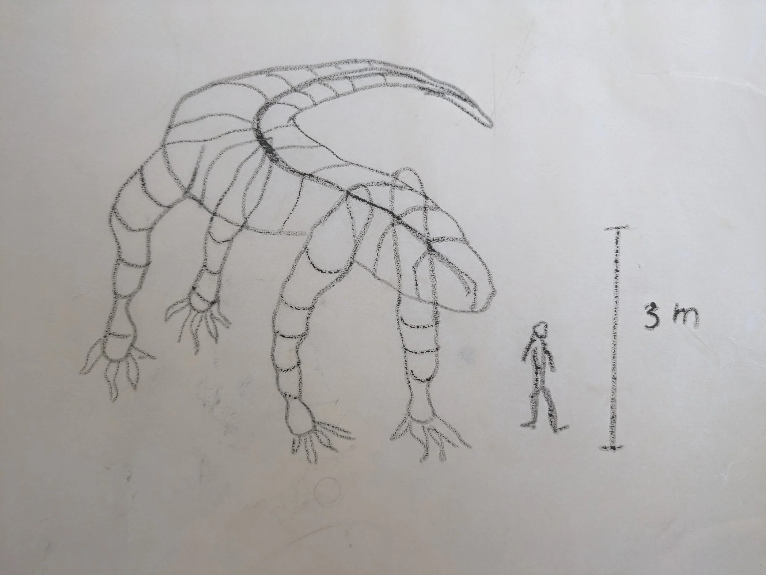 first sketch