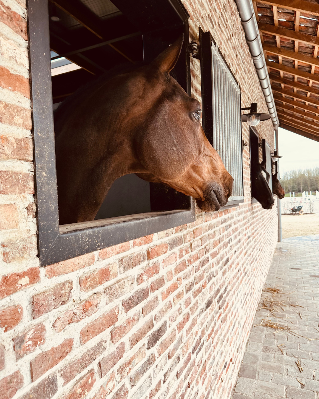 Ondernemen kun je leren, ook als je jezelf geen ondernemer vindt