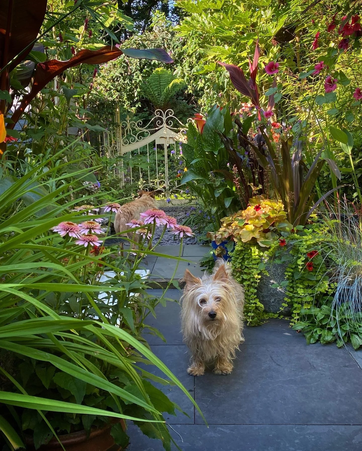 071CDE7B-12D4-488C-A08C-37B1CAF49691 2.JPG