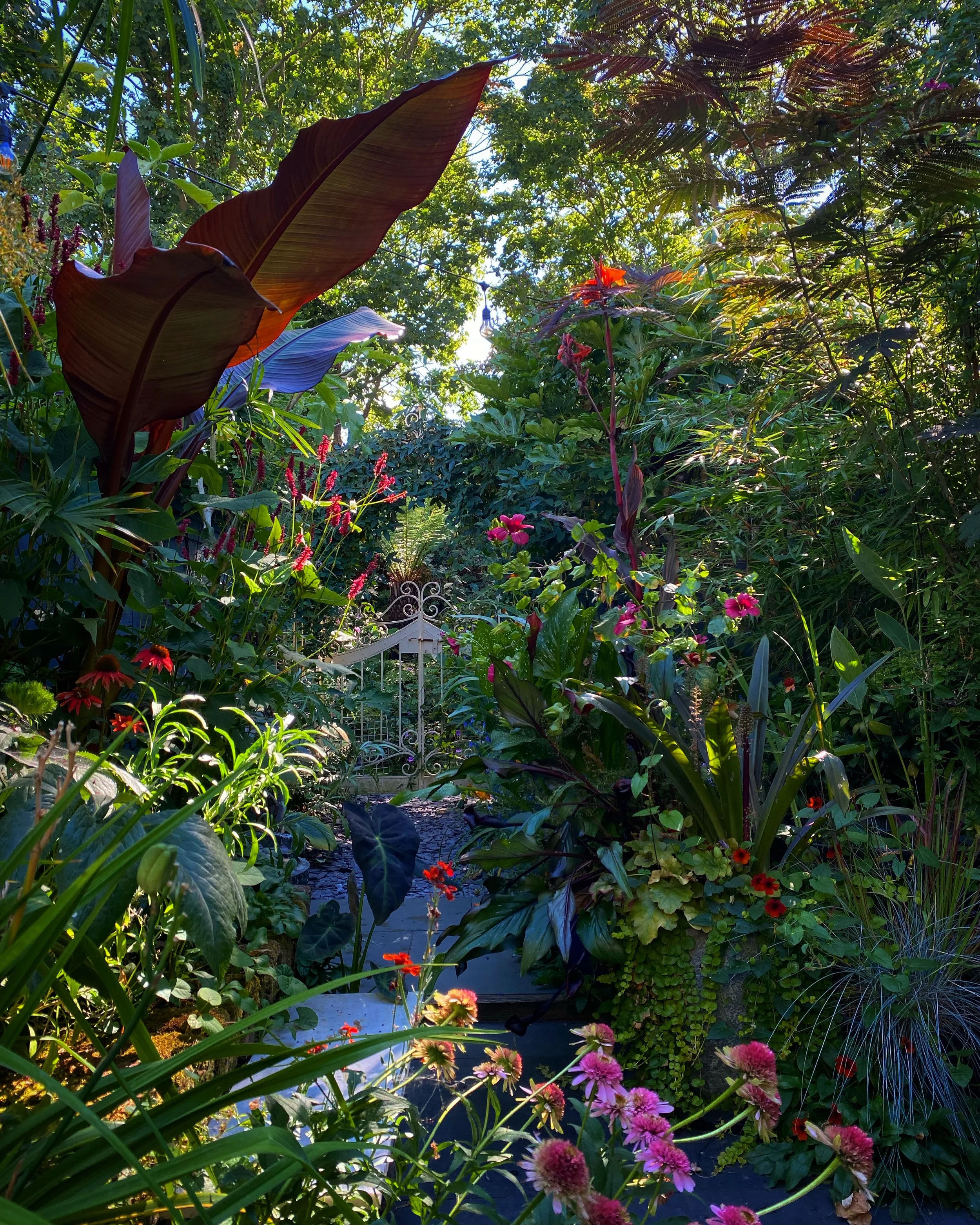 BC623134-9651-4B70-B5E7-7D03AA86ECF2 2.JPG