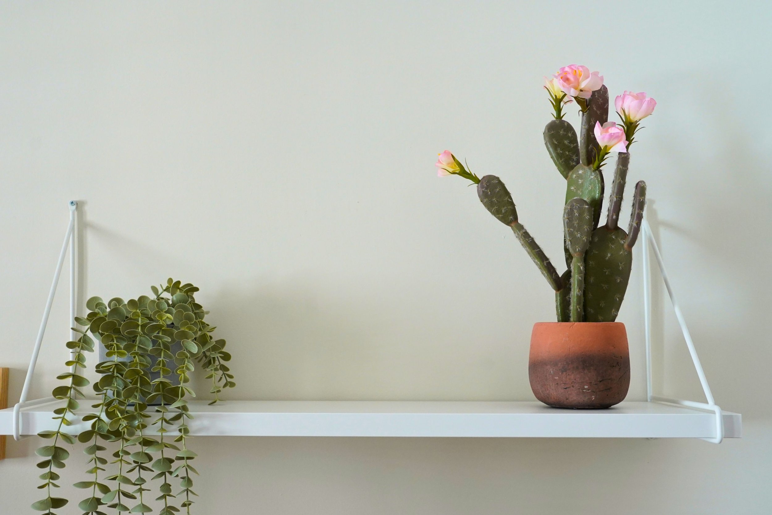 MM1 Pink bedroom horizontal 5.jpg