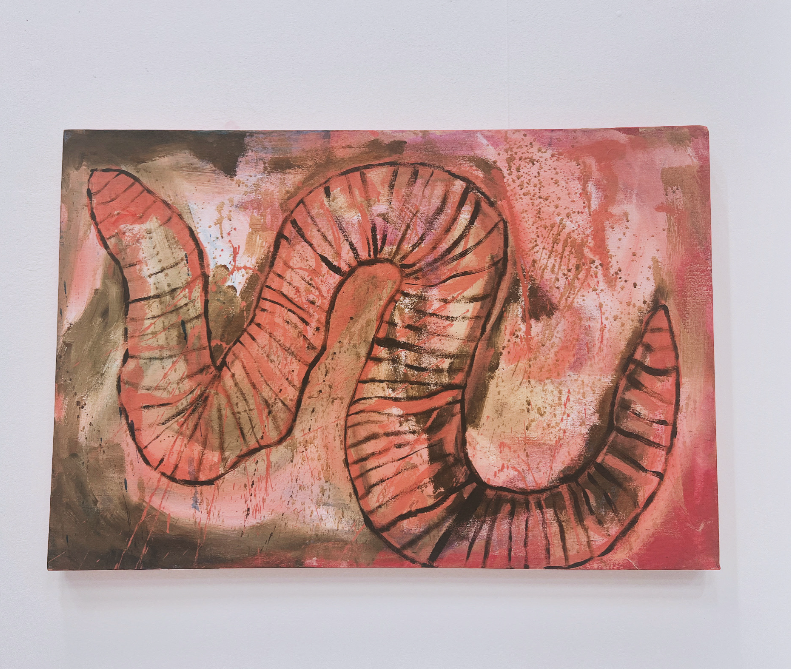 Screenshot 2026-01-29 at 10.47.10.png