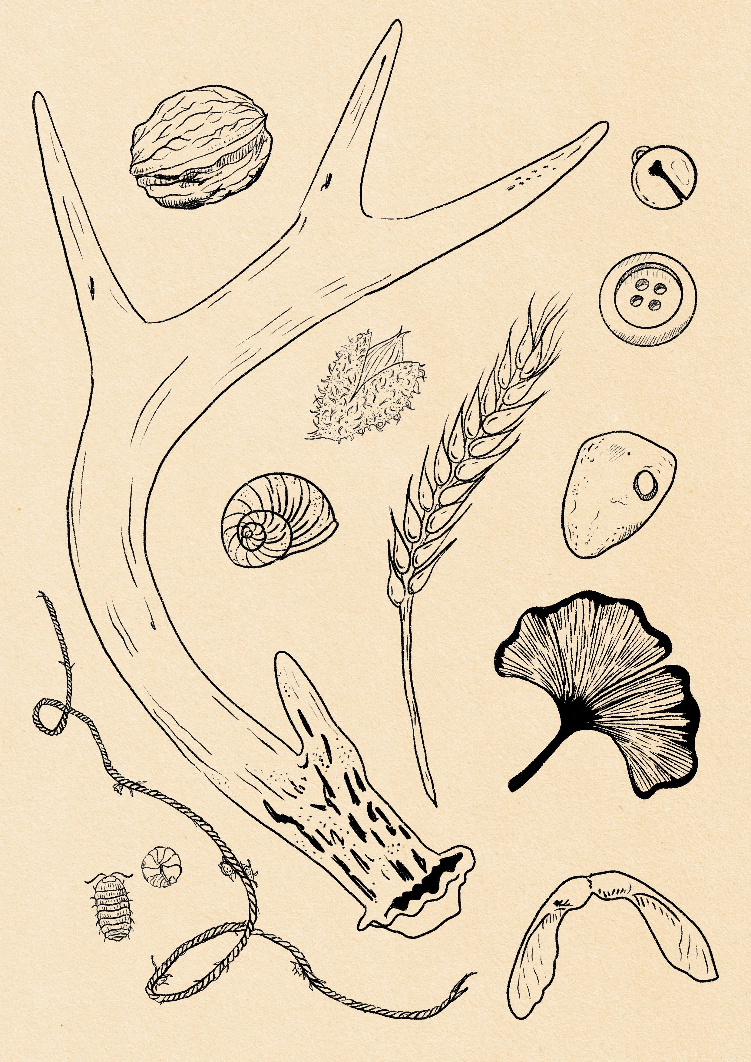 Untitled_Artwork 10.jpg