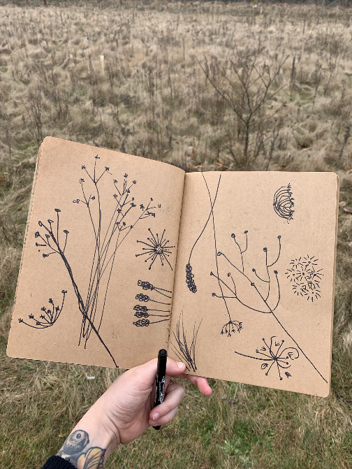 Screenshot 2026-01-29 at 10.53.24.png