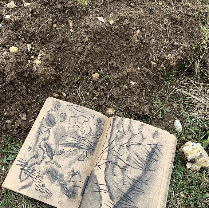 Screenshot 2026-01-29 at 10.46.37.png