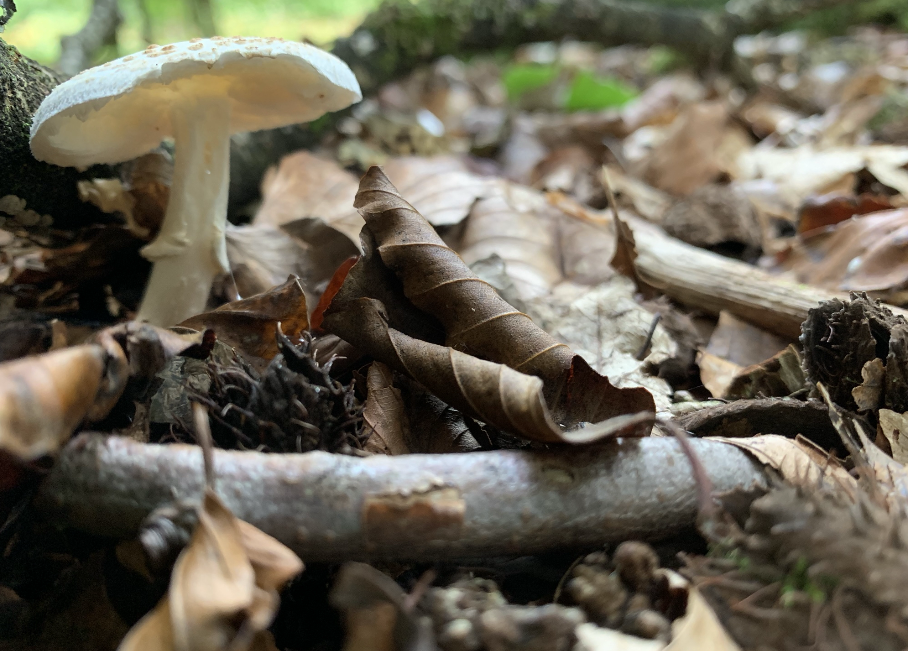 Screenshot 2026-01-29 at 10.53.14.png