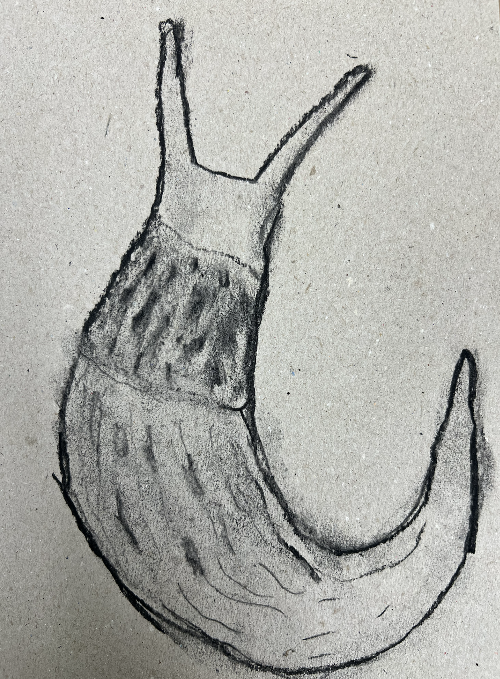 Screenshot 2026-01-29 at 11.06.01.png