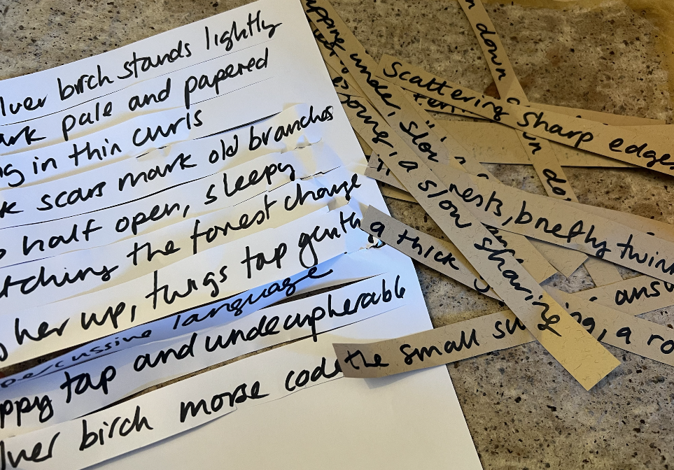 Screenshot 2026-01-29 at 11.05.25.png