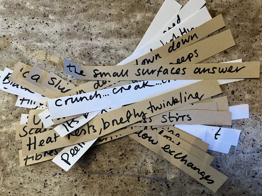 Screenshot 2026-01-29 at 11.05.33.png