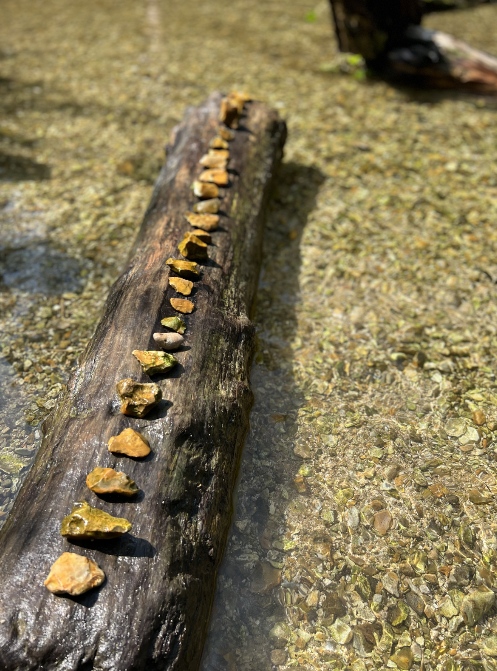 Screenshot 2026-01-29 at 11.03.07.png