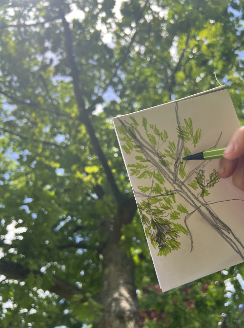 Screenshot 2026-01-29 at 11.01.46.png