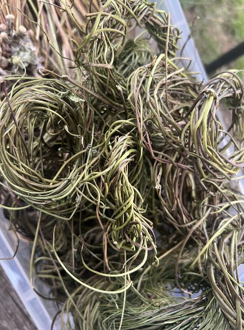 Screenshot 2026-01-29 at 11.05.02.png