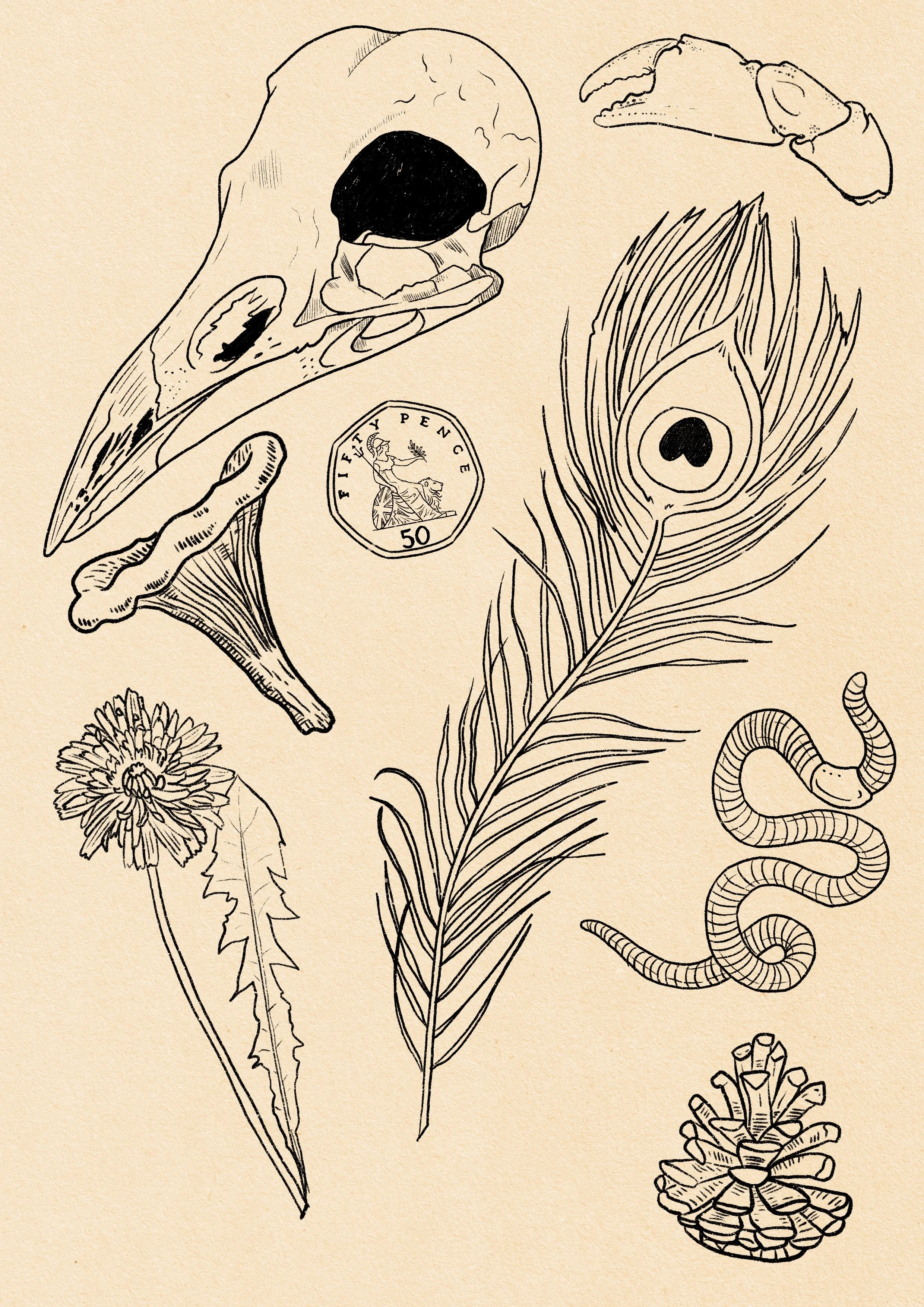 Untitled_Artwork 9.jpg