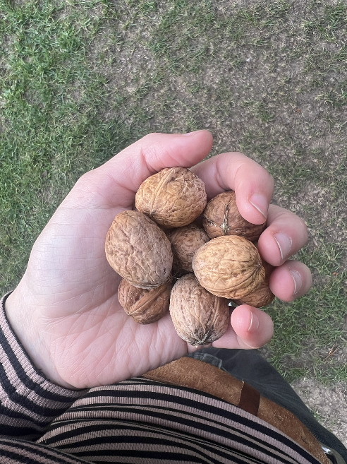 Screenshot 2026-01-29 at 11.02.14.png