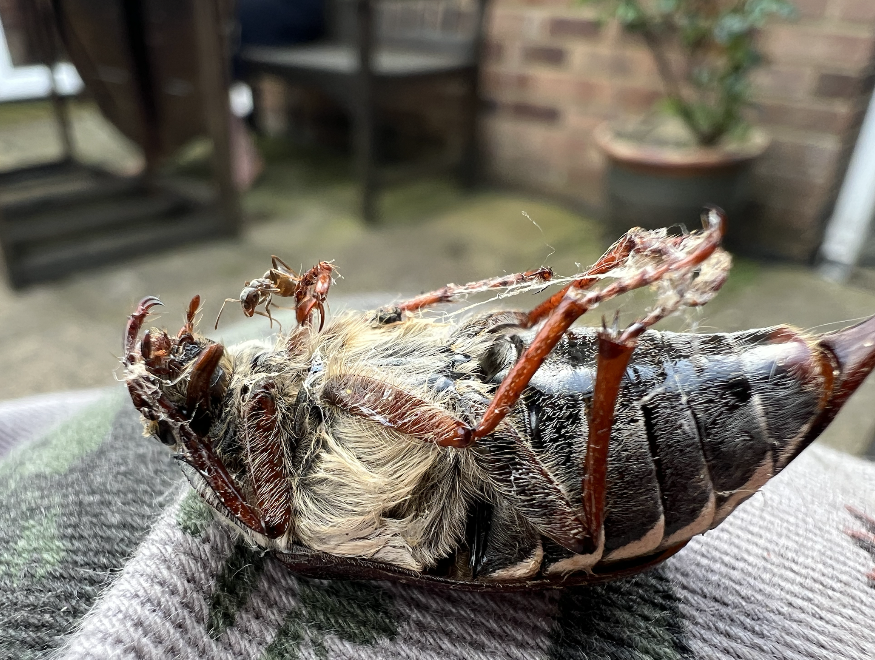 Screenshot 2026-01-29 at 11.02.26.png