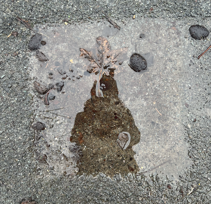 Screenshot 2026-01-29 at 11.03.27.png