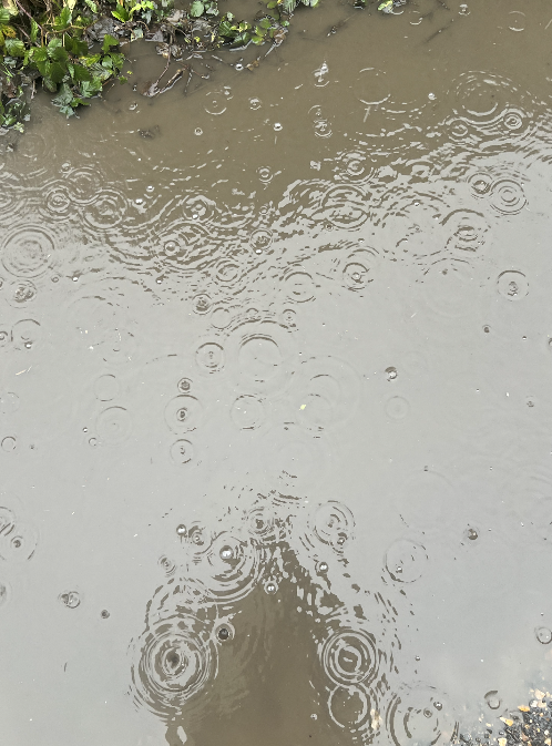 Screenshot 2026-01-29 at 11.03.13.png