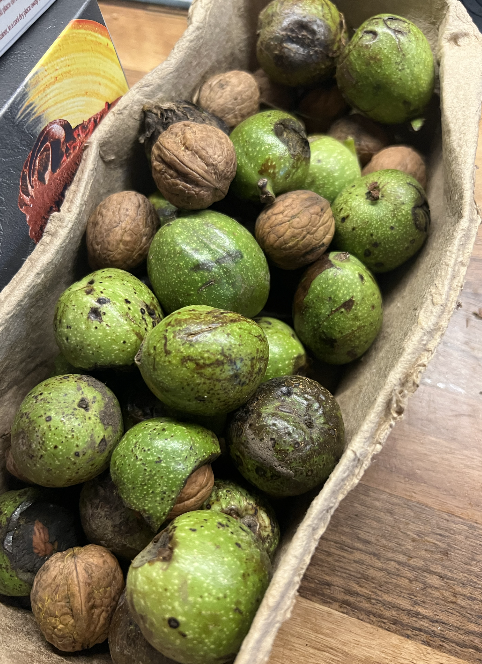 Screenshot 2026-01-29 at 11.03.53.png