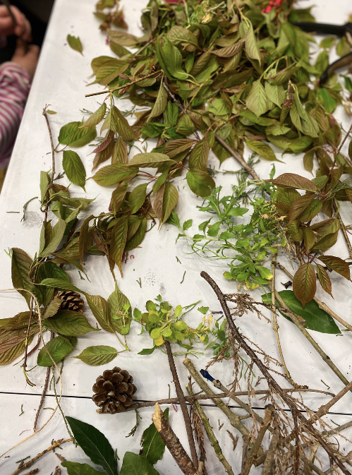 Screenshot 2026-01-29 at 10.46.11.png