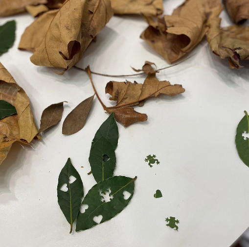 Screenshot 2026-01-29 at 10.46.28.png