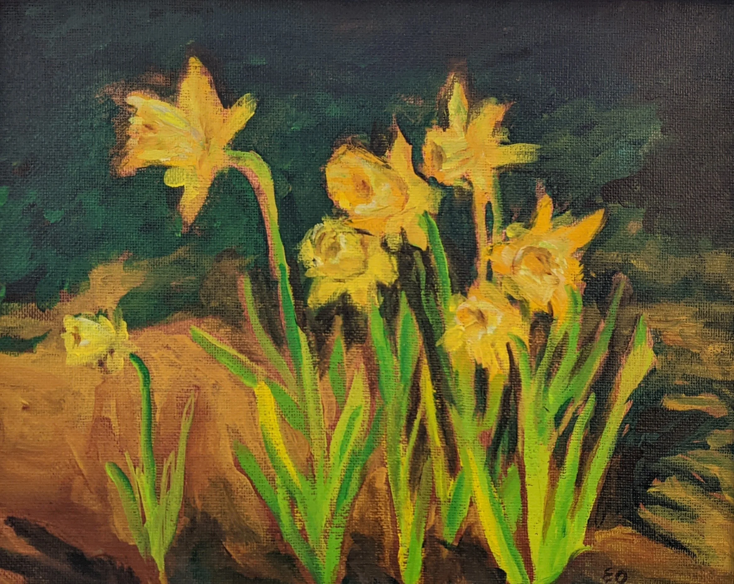 Daffodils.jpg