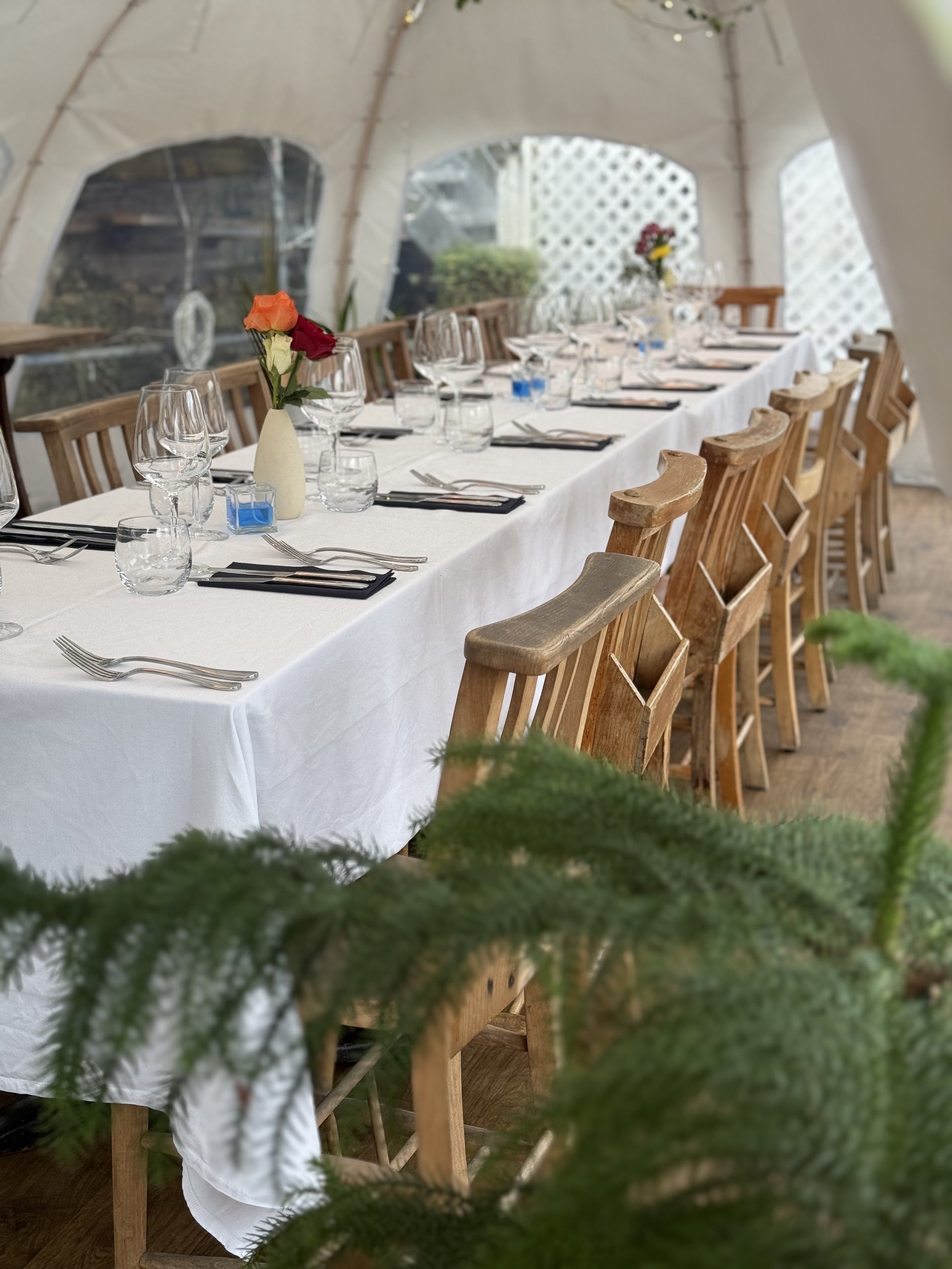 Copy of White dome.jpg