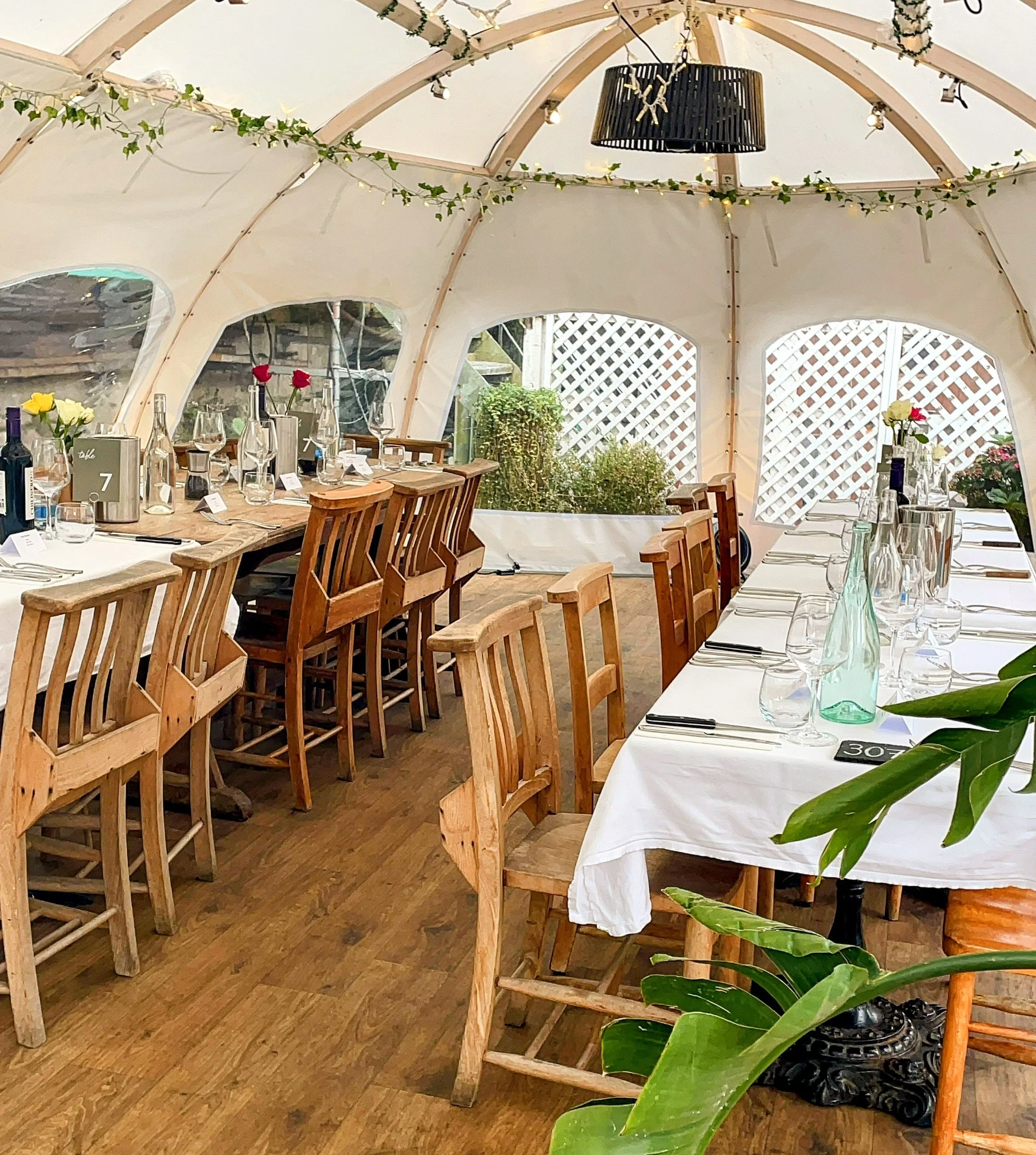 Copy of White dome  (1).jpg