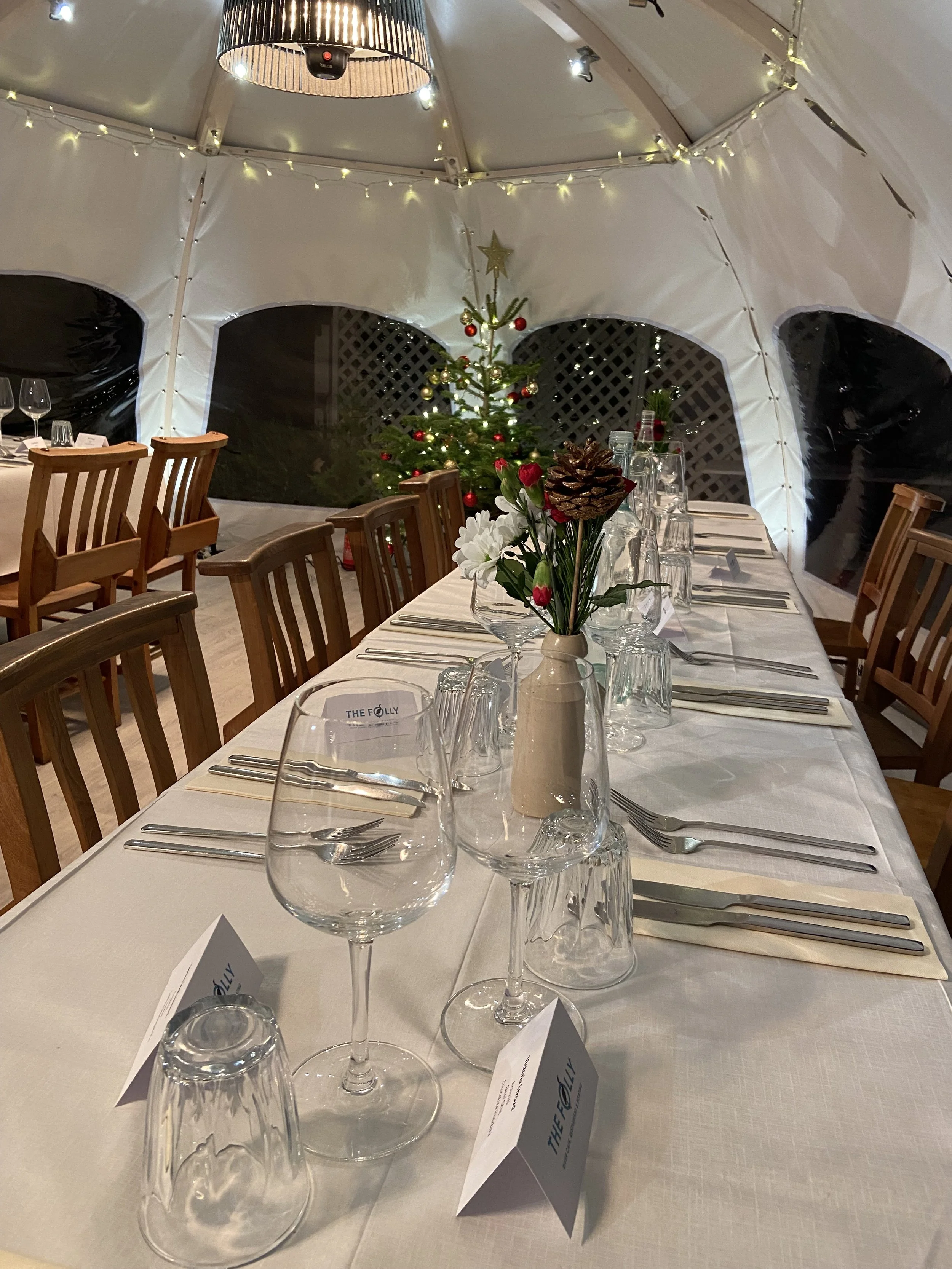 Copy of Copy of White Dome 2.jpeg