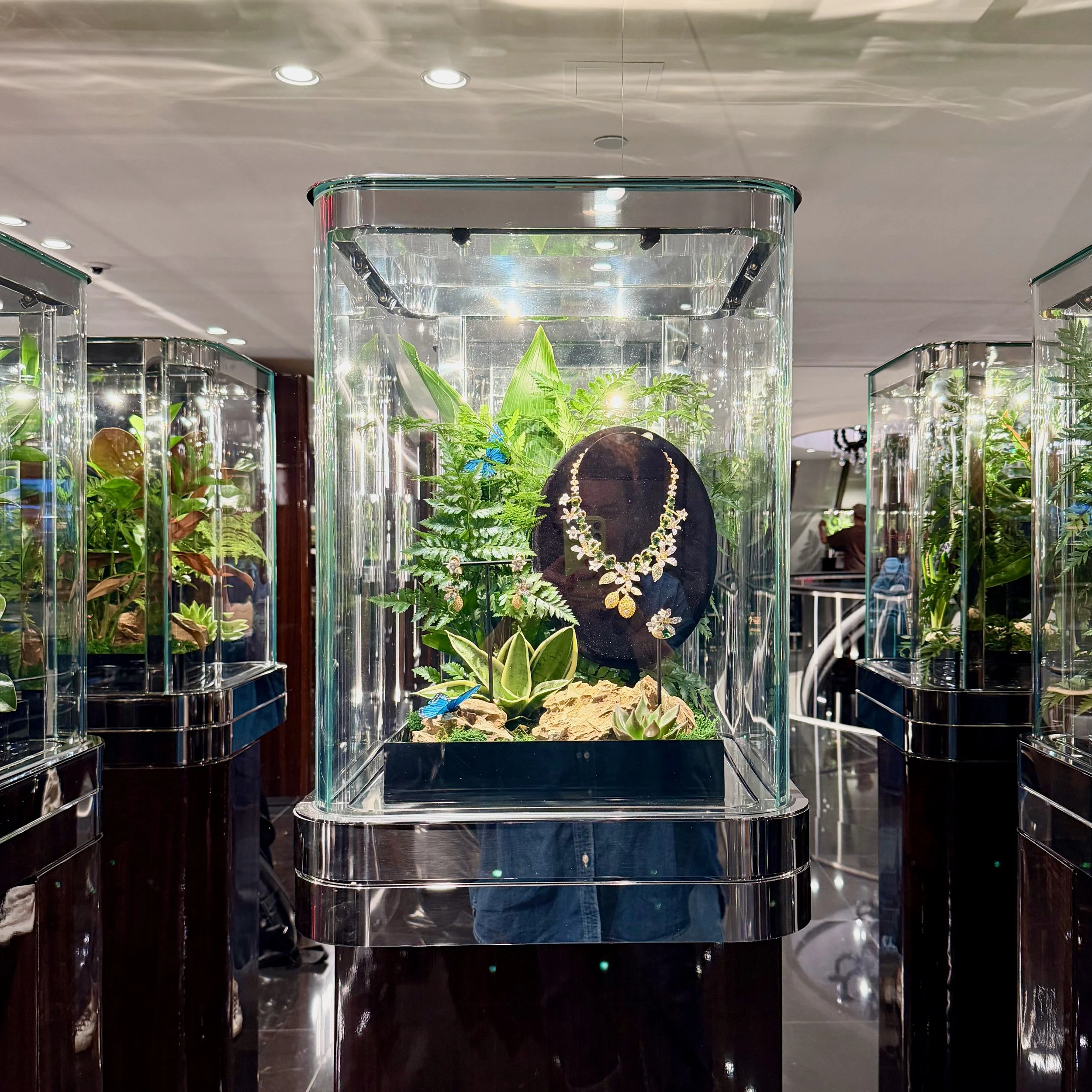 Real greenery installation for Dolce & Gabbana Jewelry at the Madison Avenue boutique in New York