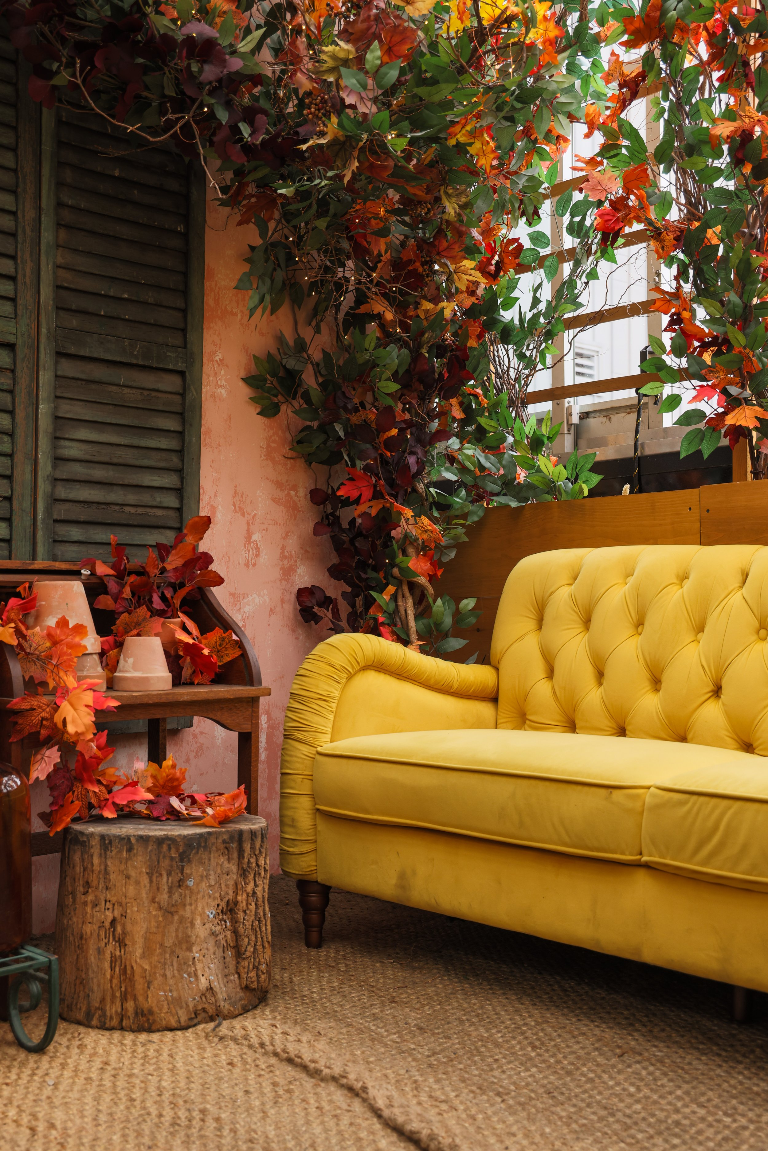 Copy of Serra_Fall_23_Ambience-15.jpg