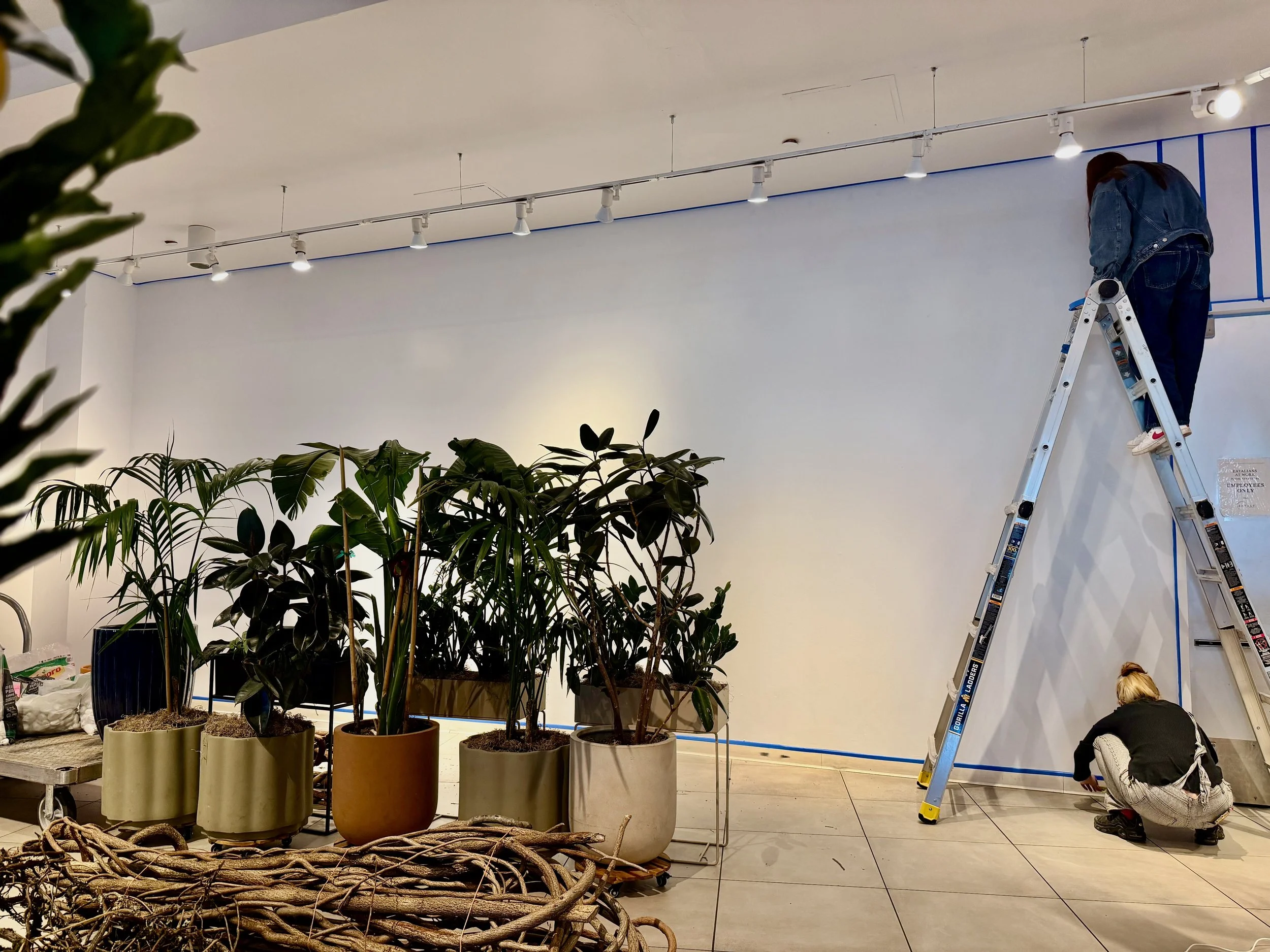 Space before Pallini Limoncello pop-up at Eataly New York