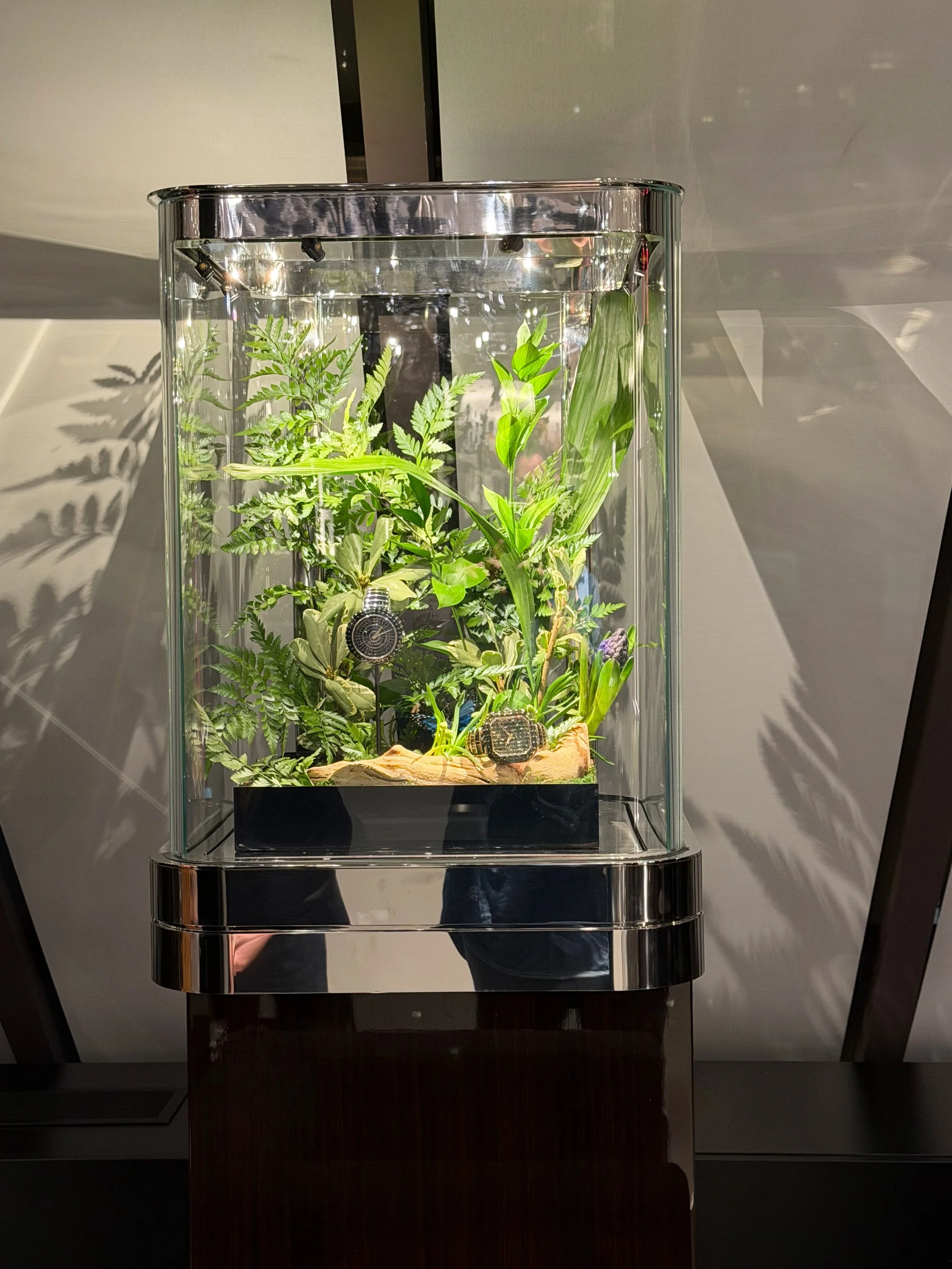 Real greenery installation for Dolce & Gabbana Jewelry at the Madison Avenue boutique in New York