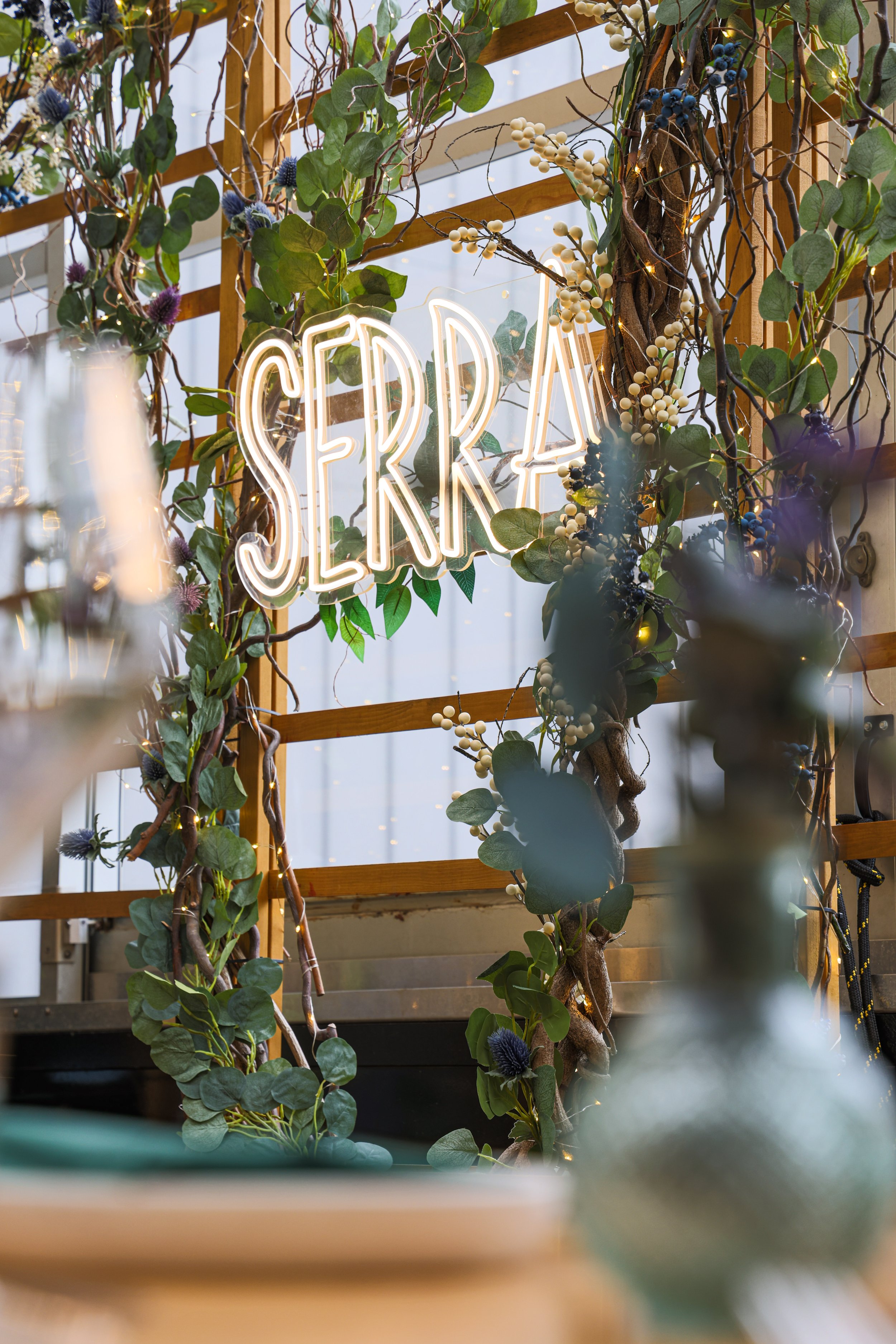 Copy of Serra_23Winter-52.jpg