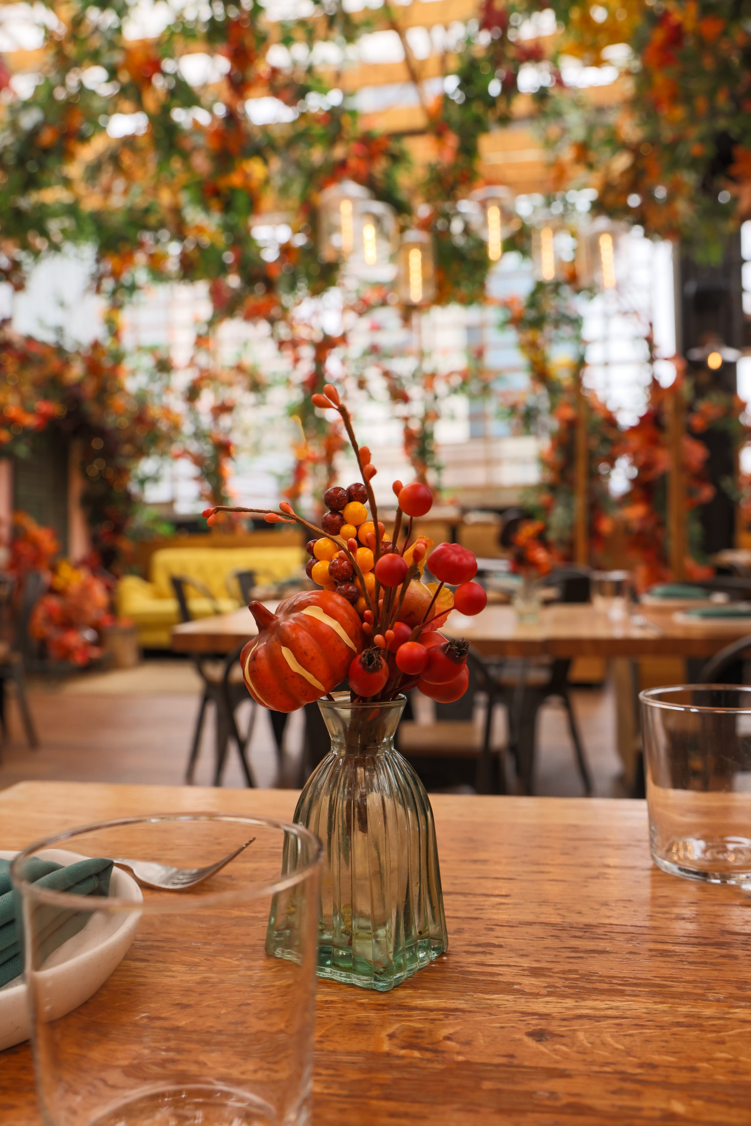Copy of Serra_Fall_23_Ambience-12.jpg