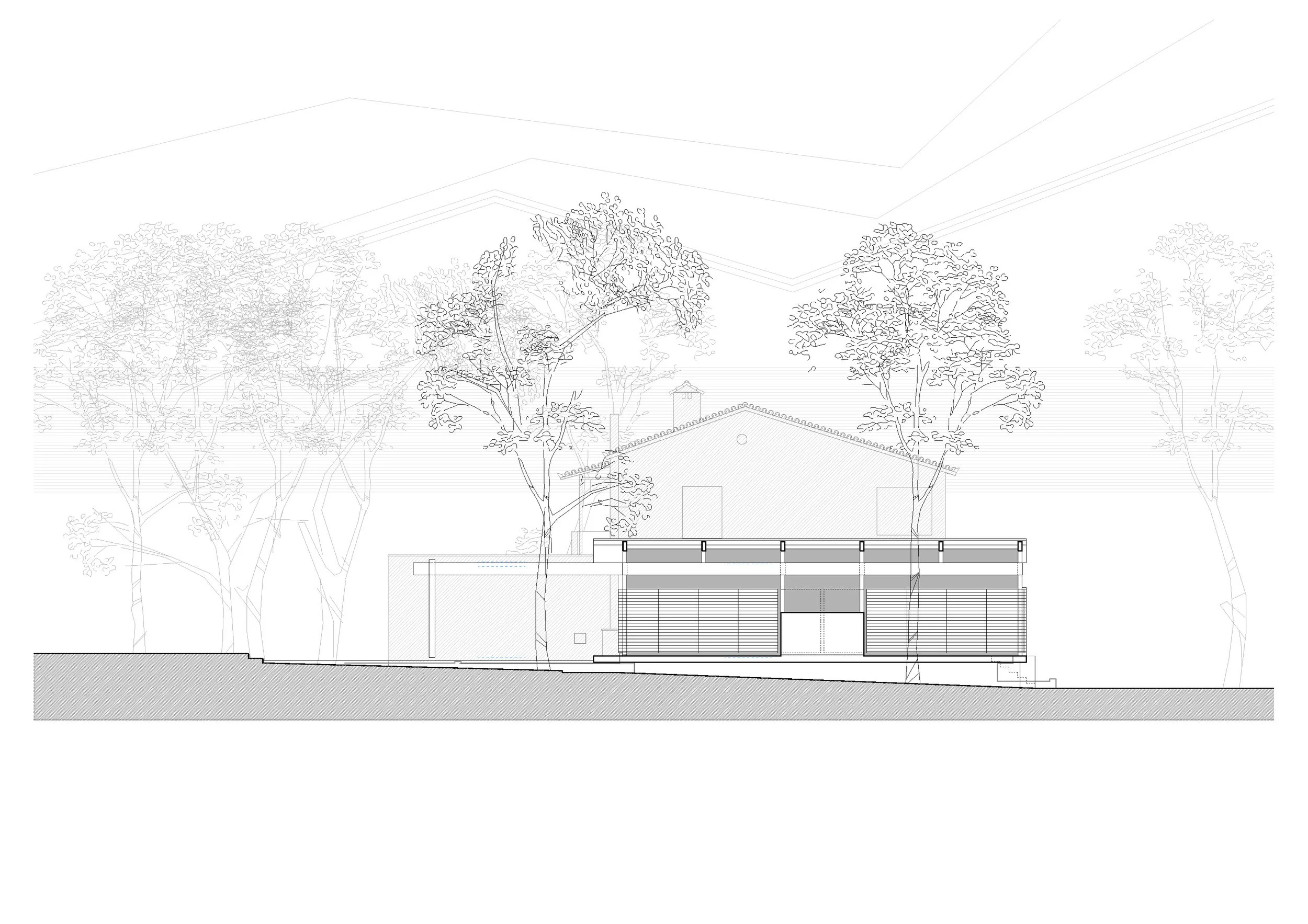 Architectural drawing of a modern house with multiple levels, surrounded by trees, showing front elevation with garage and terraces.
