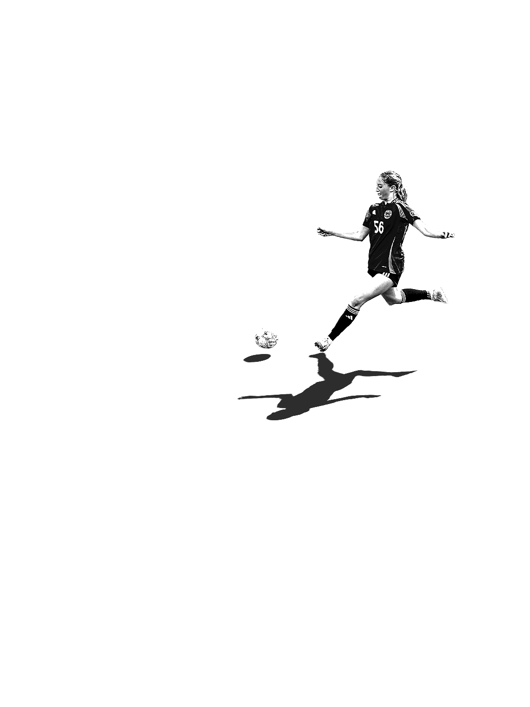 BW Shadow_03.png