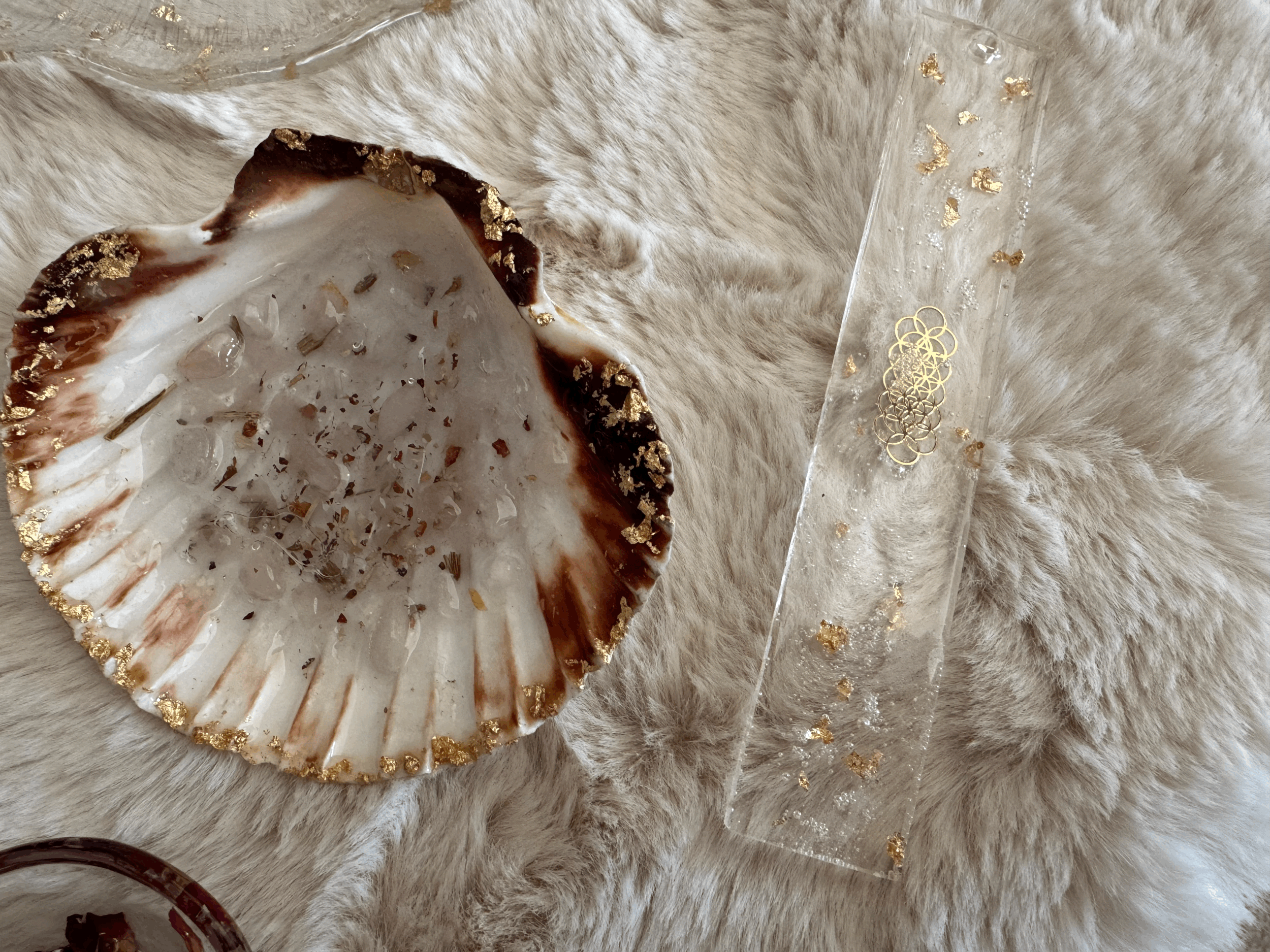 Coquille Saint Jacques Quartz rose et Herbes Sacrées