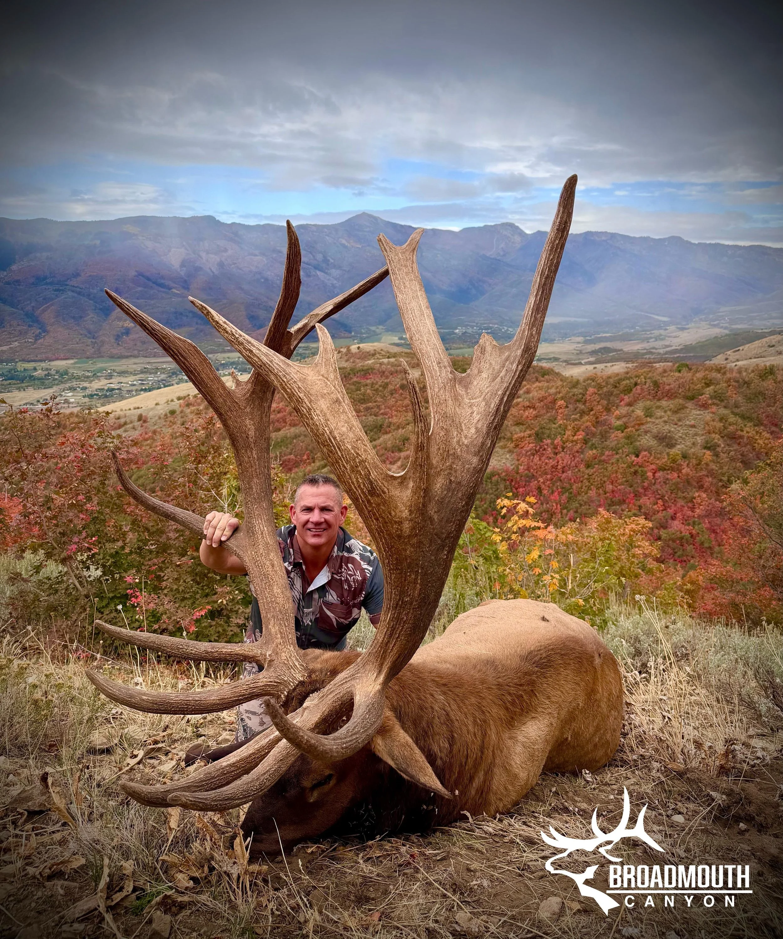 The Harsh Truth About Drawing an Elk Tag in the United States