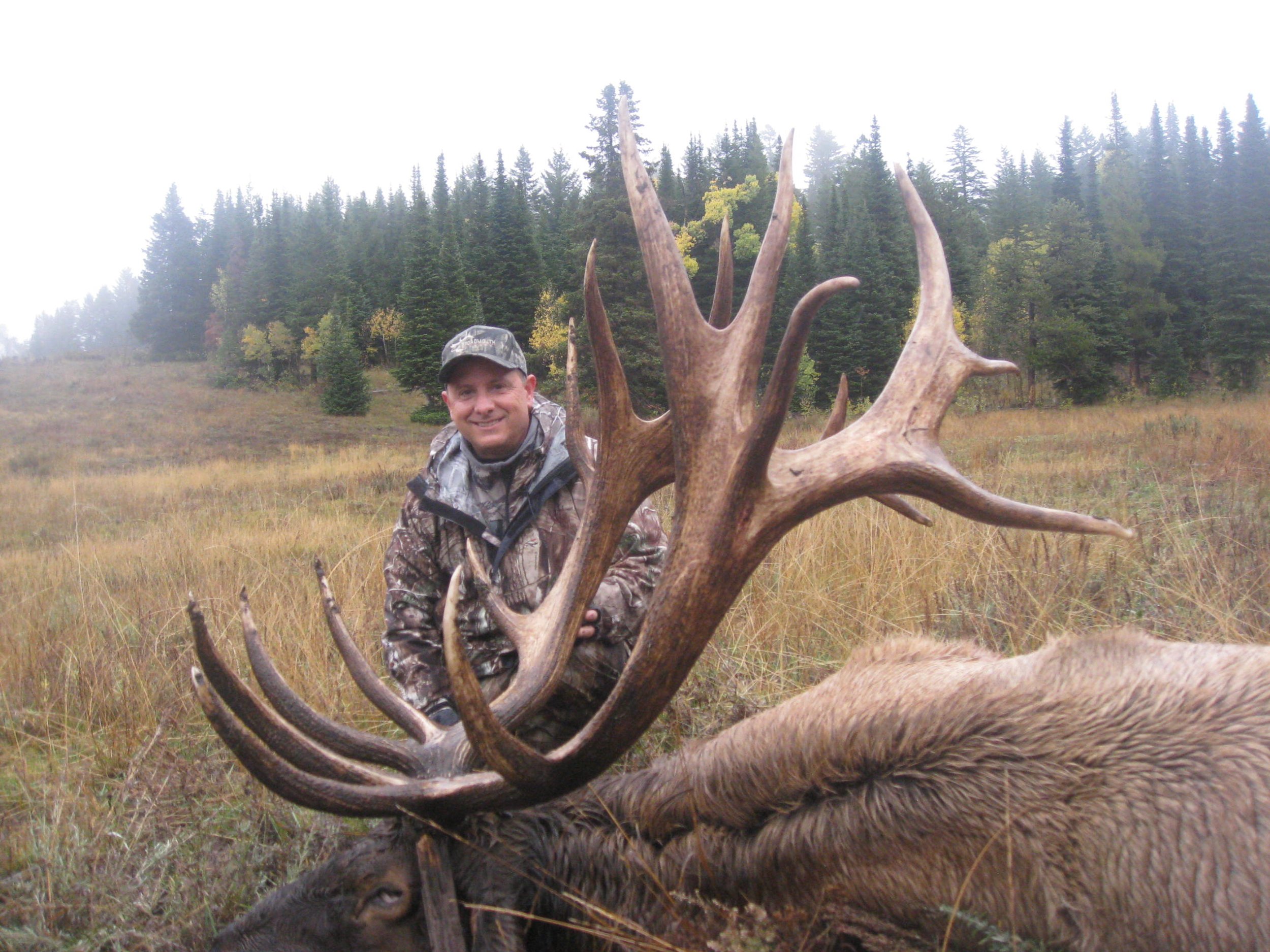  Elk,2014,Idaho 