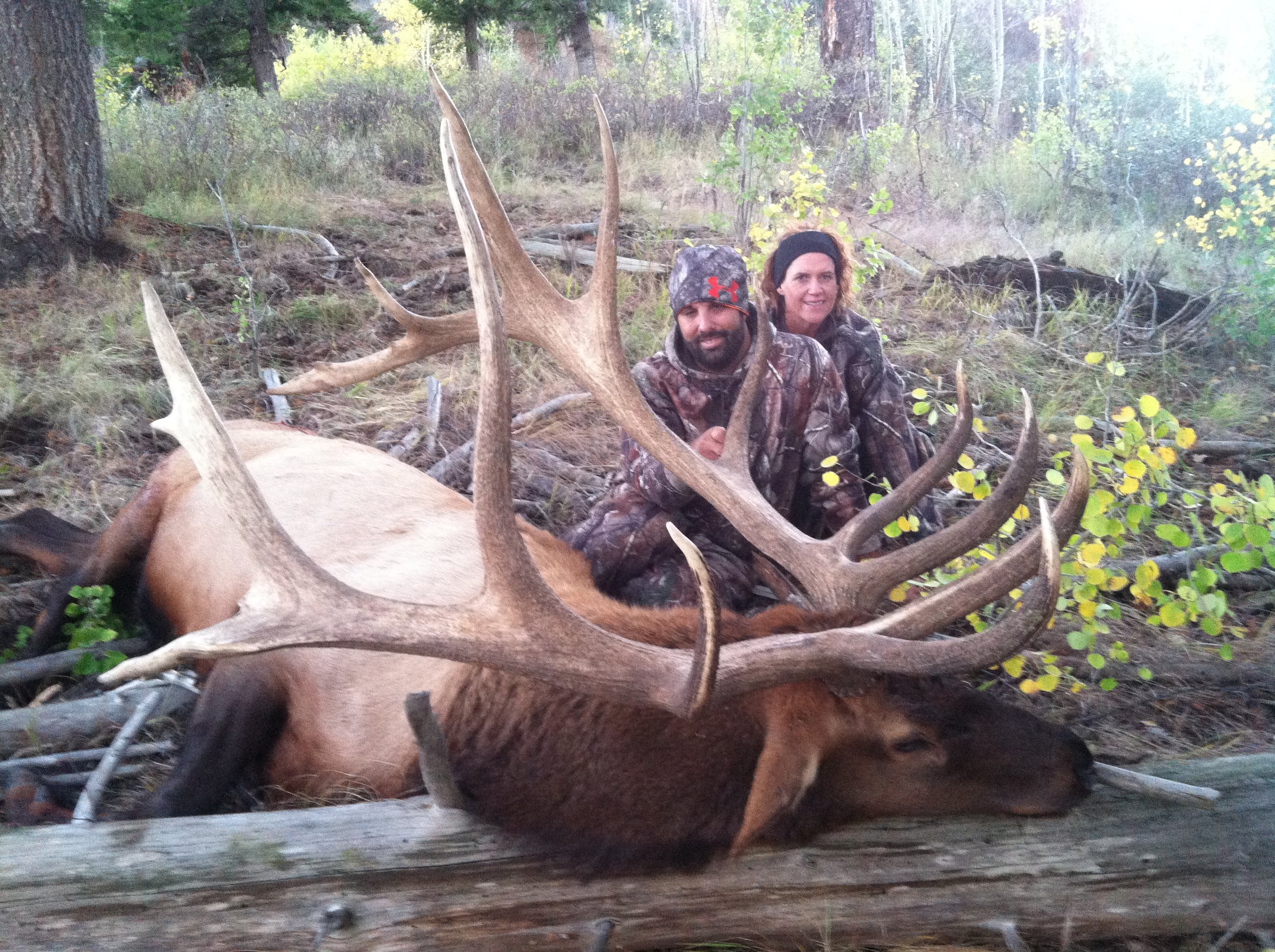  Elk,2014,Idaho 
