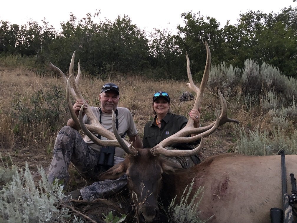  Elk,2019,Utah 