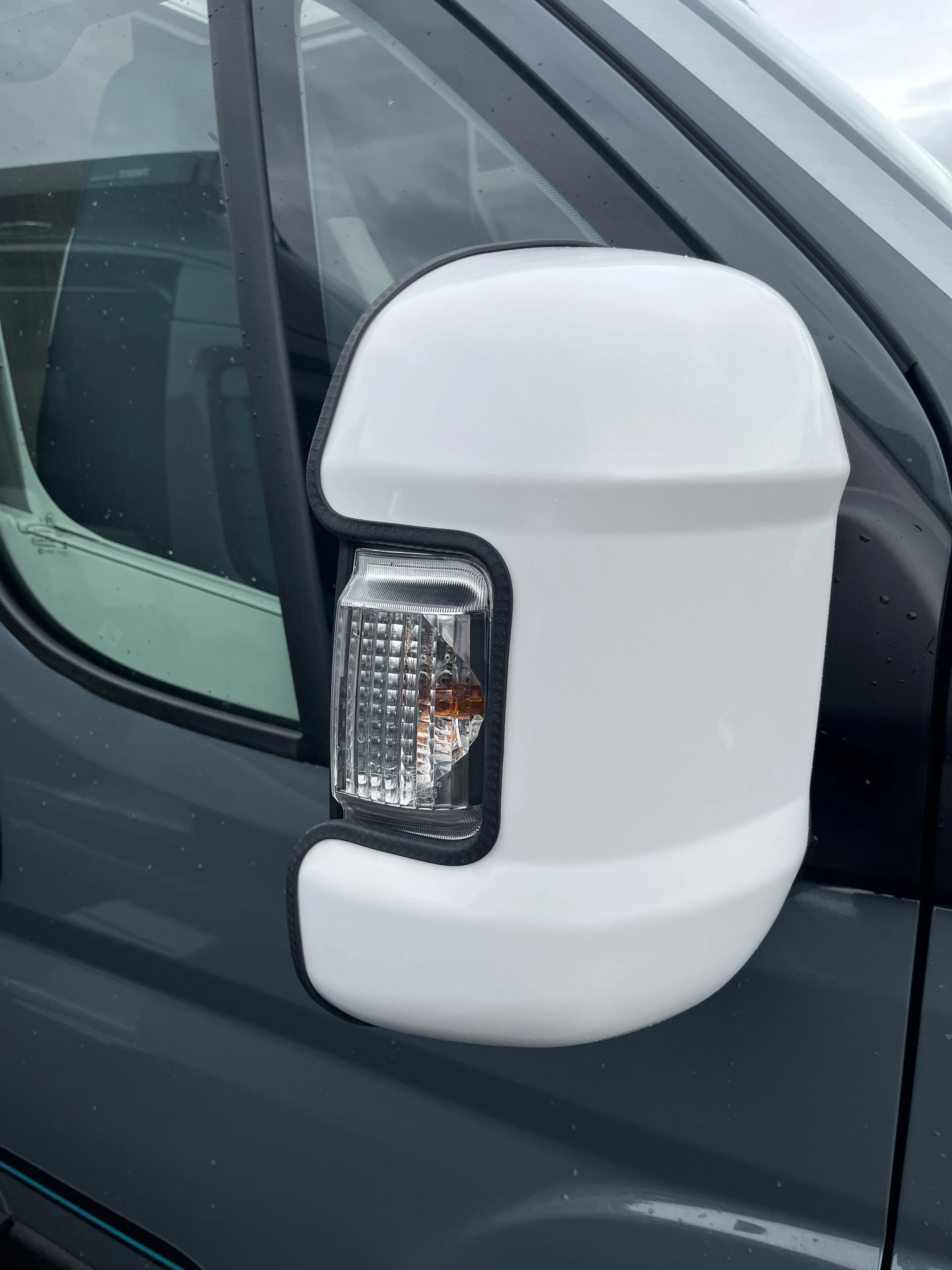 New Mirrorguard White Short d.JPG