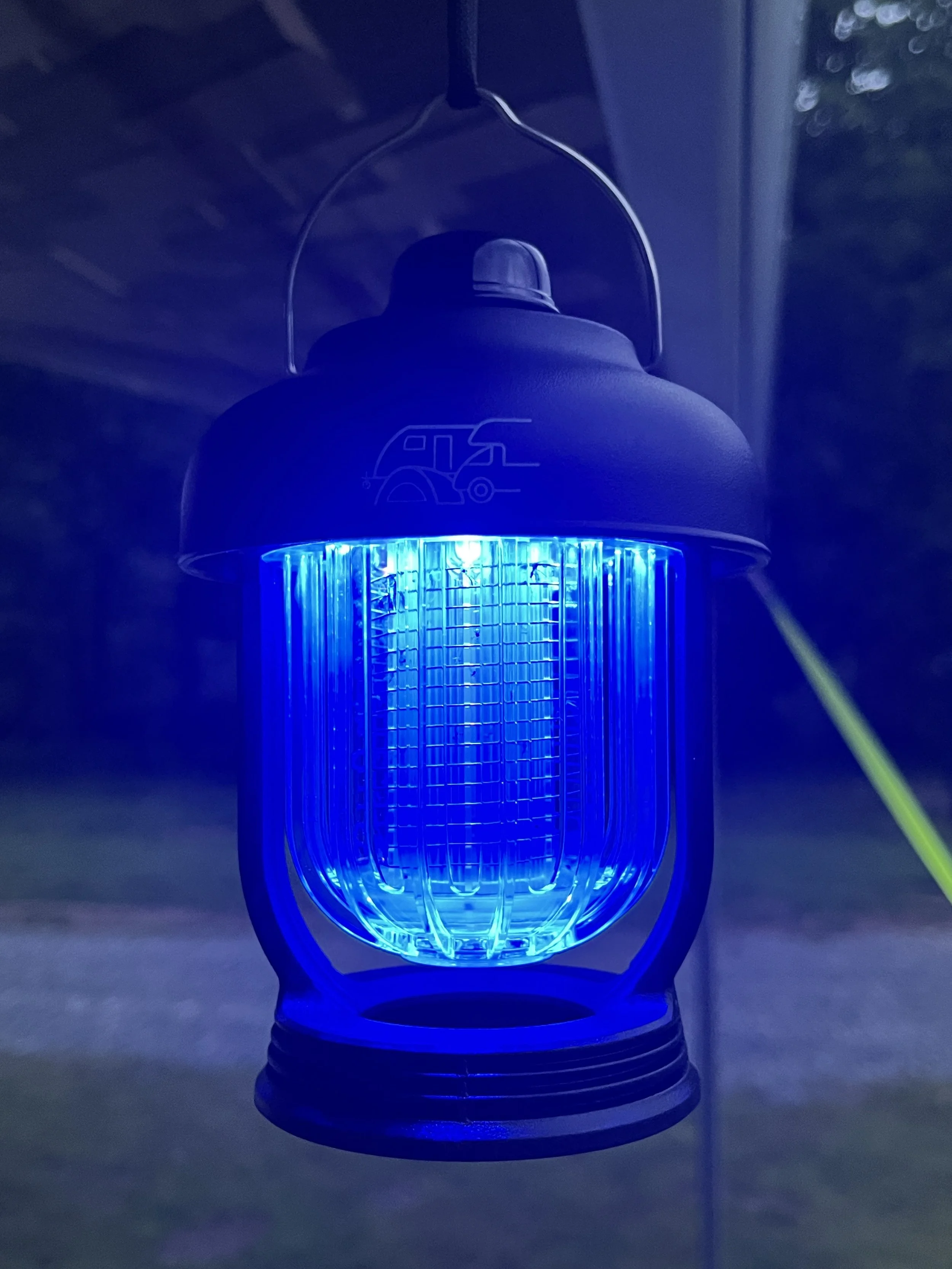 Insect lantern c.JPG