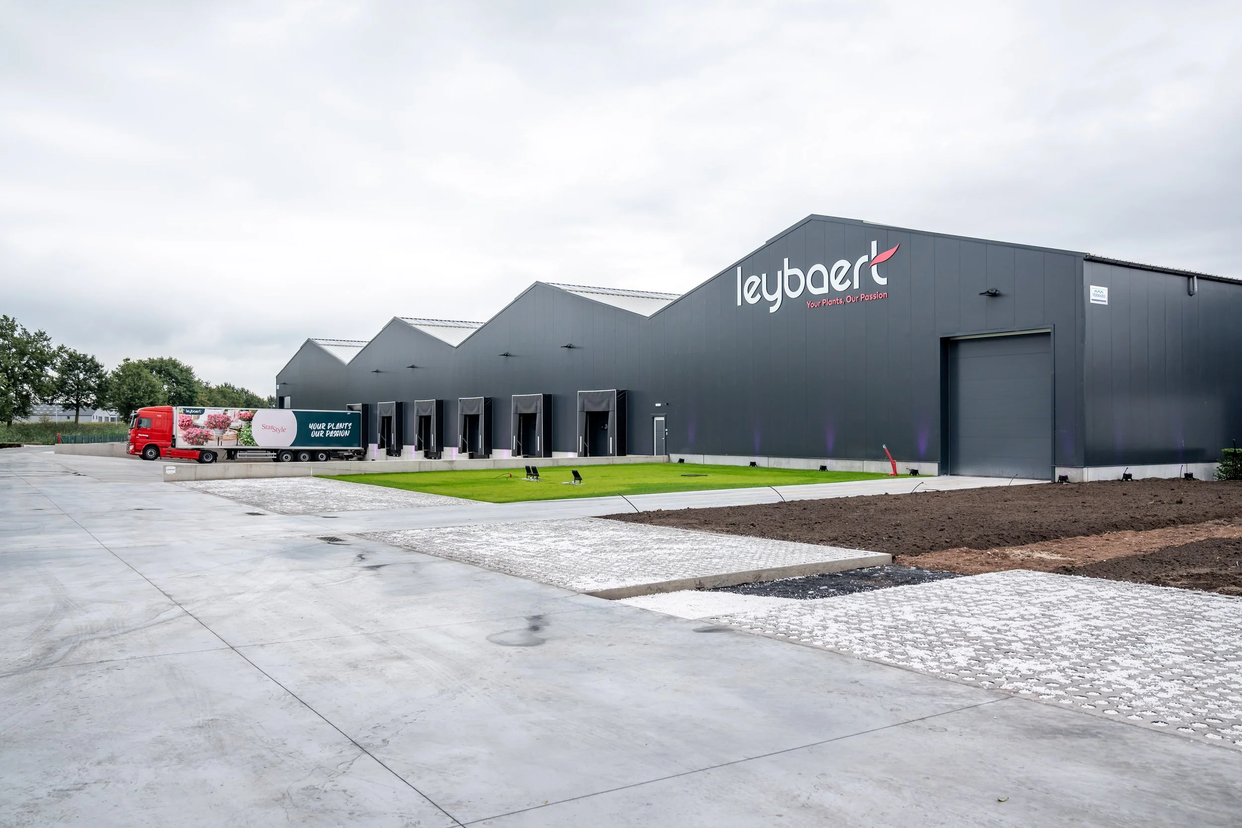 Leybaert-4.jpg