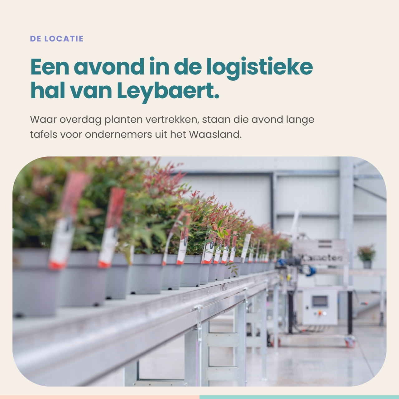 04-de-locatie.png