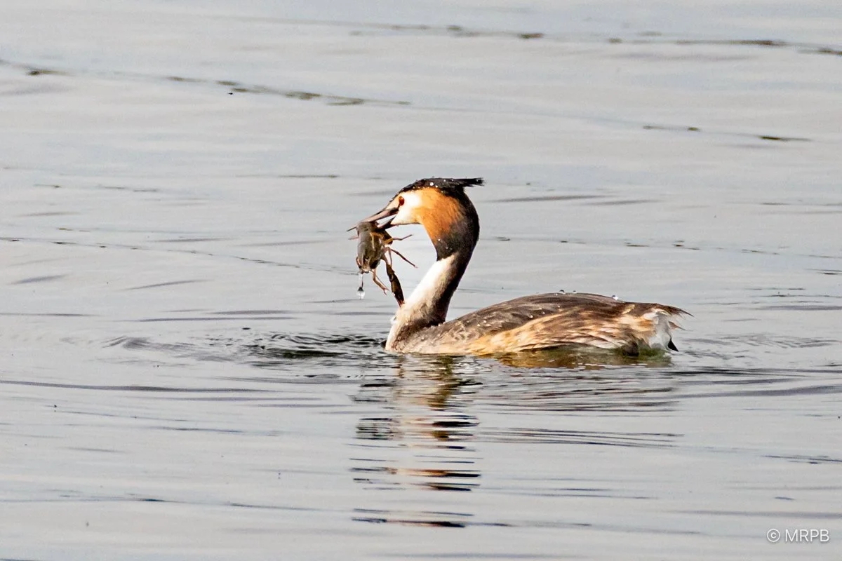 Esporão Portugal_3L8A9210-2
