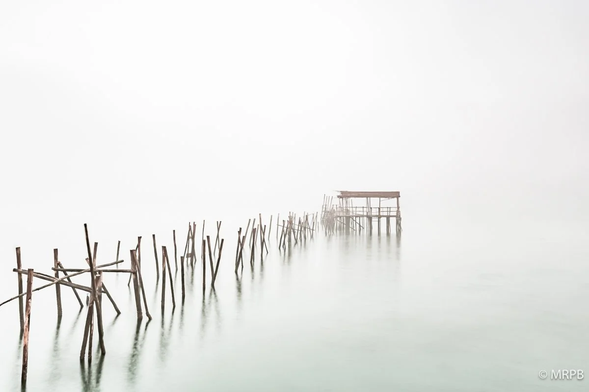 Carrasqueira_Portugal_O0A5587